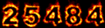 25484