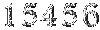 15456