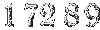 17289
