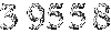 39558