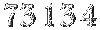 73134