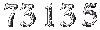 73135
