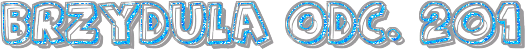 BRZYDULAF20ODCF2eF20201-999999ffffff282-2-1-4-blue003.gif