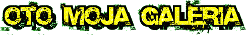 OTOF20MOJAF20GALERIA-00000000cc00343-3-3-6-yellow015.gif