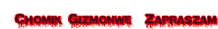 Chomik Gizmonwe  Zapraszam