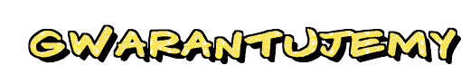 an-Gwarantujemy-000000ffffffxxxxxx30003-2-2-200-DCglit120.gif