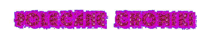 POLECANE CHOMIKI