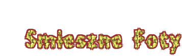 Smieszne Foty