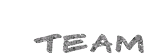 an-Team-ffffffffffffffffff20003-1-1-200-gold016.gif